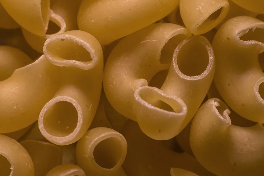 Cream Pasta