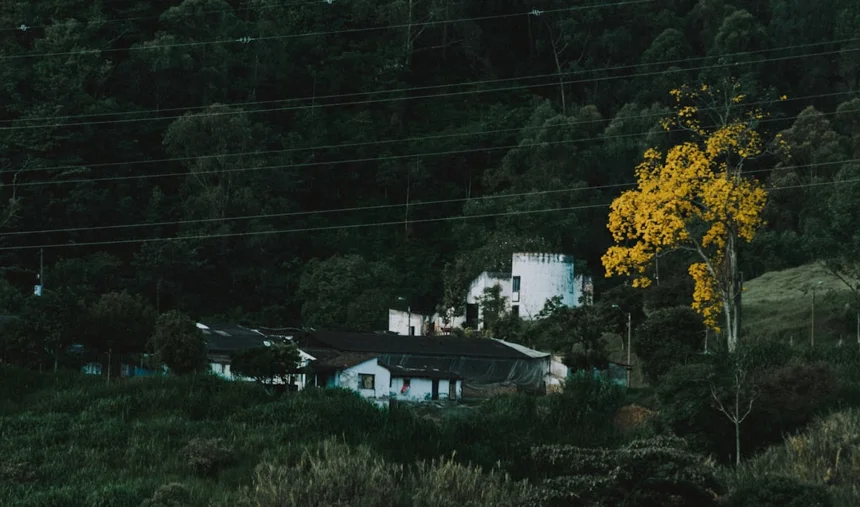 Gyukatsu