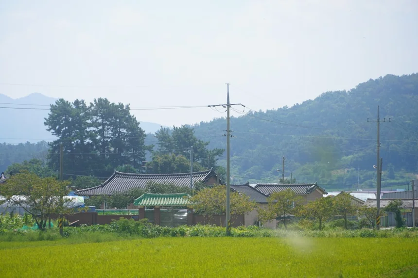 돈카츠 완벽 가이드, 집에서도 맛있게 만드는 법