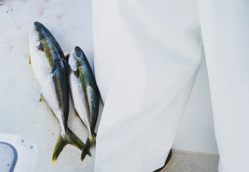 Tuna